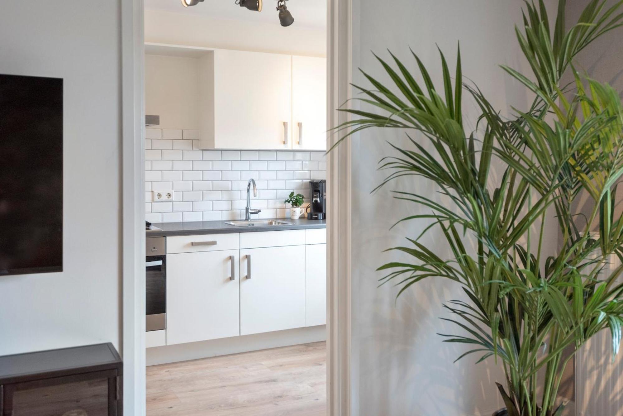 Beach&Dunes Apartment Zandvoort Zewnętrze zdjęcie